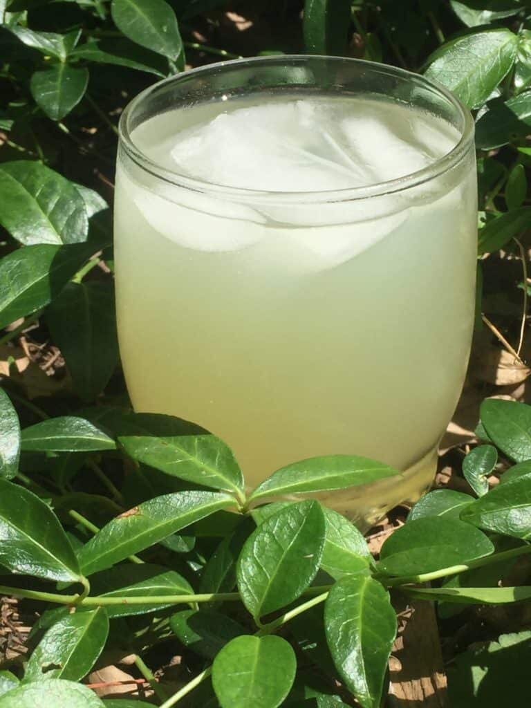 Summertime lemonade recipe from moneyinyourteas.com