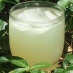 Summertime lemonade recipe from moneyinyourteas.com